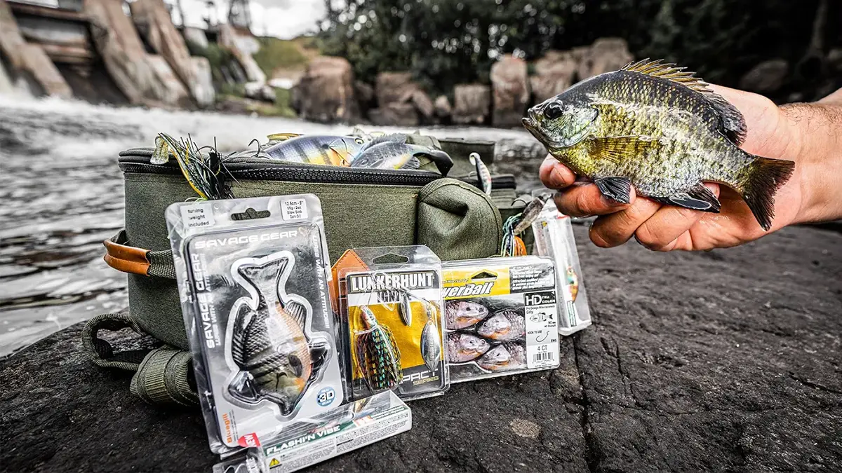 Comparing Bluegill Bass Baits And Live Bluegill Underwater Wired Fish