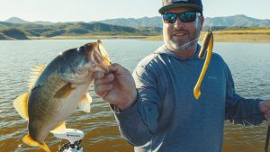 The Rise of the Neko Rig Finesse Bass Tactic