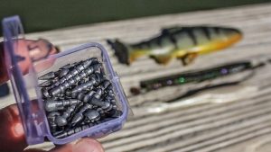3 Alternative Uses for Neko Rig Bass Fishing Weights