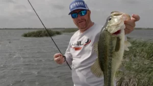 Fishing Swing Heads for Bass in Shallow Grass