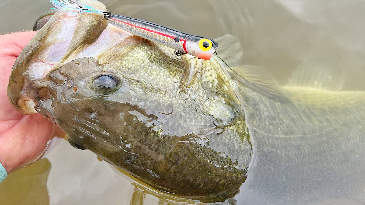 Storm Rattlin Chug Bug Review - Wired2Fish