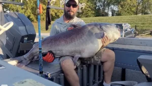 Pending Record Catfish Caught in Tennessee