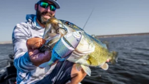 How To Fish Multi-jointed Swimbaits for Fall Bass