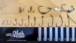 A Guide to Fishing Hooks | Best Hooks by Fishing Application