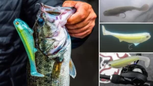 How to Rig and Fish Line Through Swimbaits