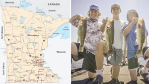 Minnesota Proposed Bass Catch-and-Release Season | Input Requested
