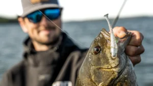 Find and Catch Fall Smallmouth with Straight-Tail Plastics