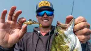 How to Fish Goby Swimbaits for Smallmouth Bass