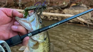 13 Fishing Defy Black Casting Rod Review