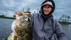 When to Fish Downsized ChatterBaits for Bass
