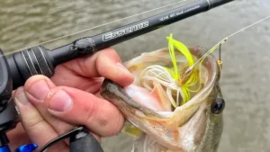 Ark Essence Rod Review