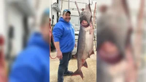 Angler Snags World Record Paddlefish