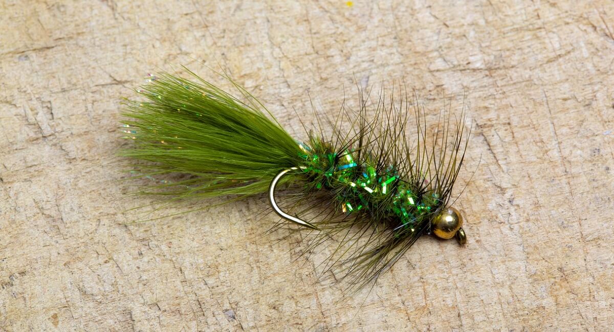 Woolly Bugger fly